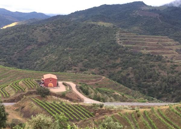 visite et degustation vin Espagne