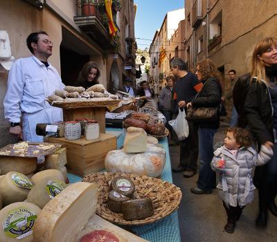 Olive oil tourism Priorat