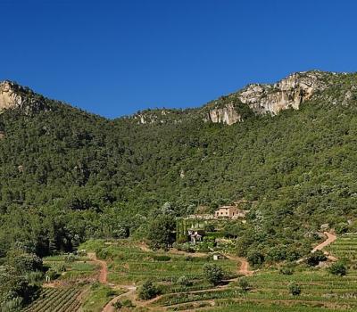 Wine Tourism near Barcelona