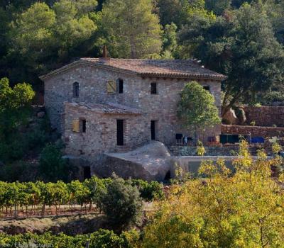 Wine tourism Spain