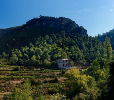 Wine tourism Spain