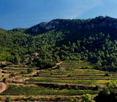 Wine tourism Spain