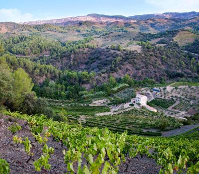 Turisme Priorat