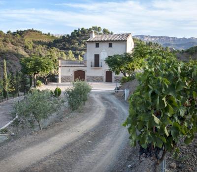 Weintourismus Priorat