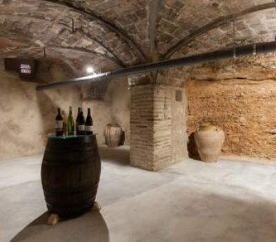 Wine Tourism near Barcelona