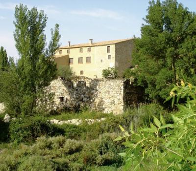 Wine Tourism near Barcelona