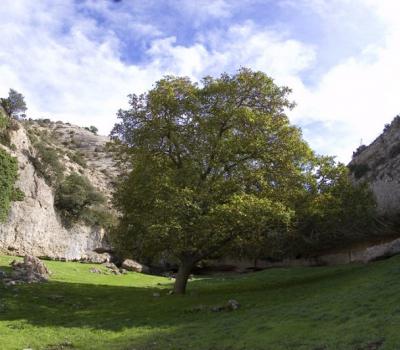 Tourisme rural Barcelone