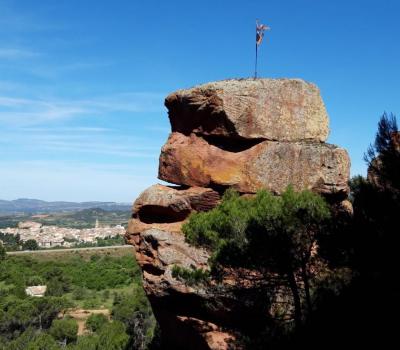 Wine tasting Spain