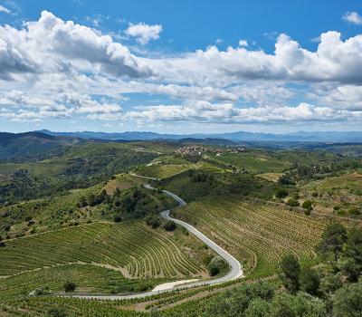 Weintourismus Priorat