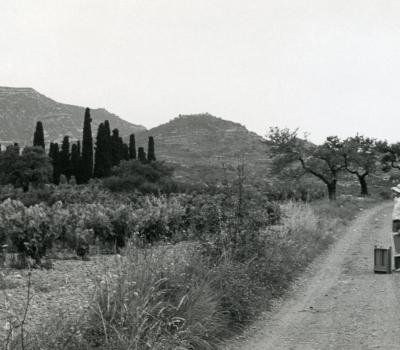 Turisme Rural Catalunya