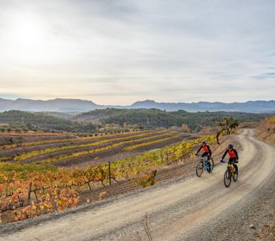 Btt Priorat