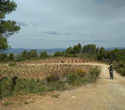 Cicloturismo Tarragona