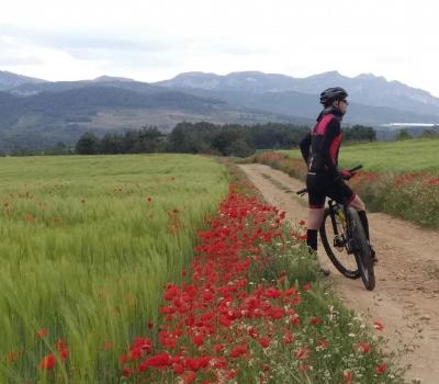 Cicloturismo Tarragona