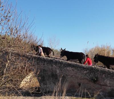 Tourisme rural Barcelone