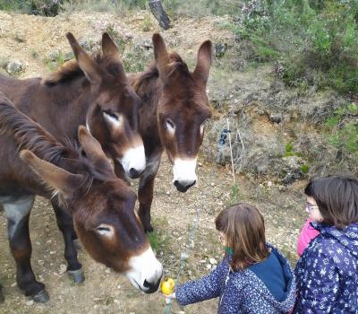 familie ecotoerisme Catalonië