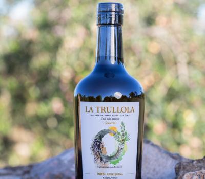 Olivolja turism Priorat