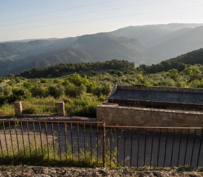 Wine Tourism near Barcelona