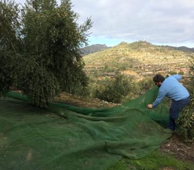 die besten Weinregionen in spanien