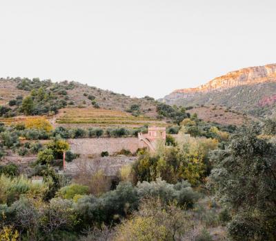 Wine Tourism near Barcelona