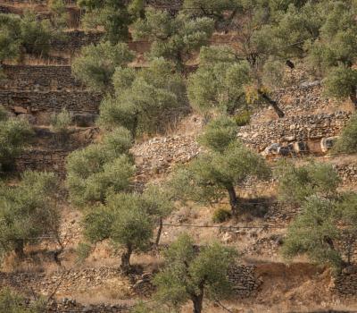 Enoturismo Cataluña