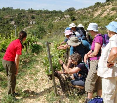 Rutas senderismo