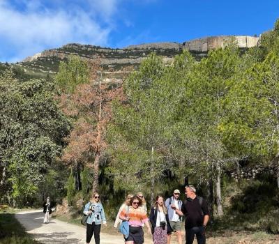 Siurana Tours