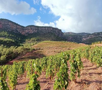 Wein tour Spanien