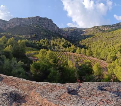 Senderisme Priorat