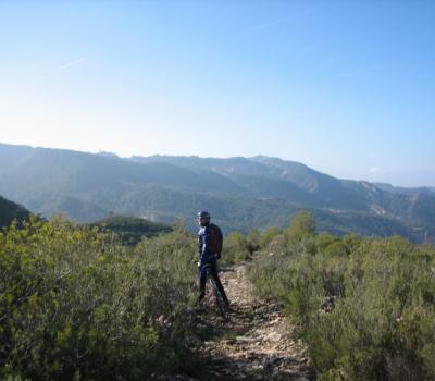 Wine Tourism near Barcelona