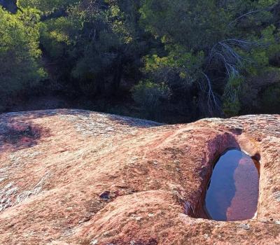 Senderisme Priorat