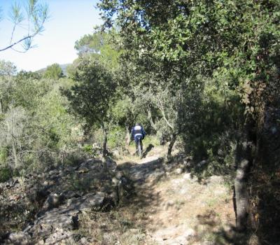 Hiking near Barcelona