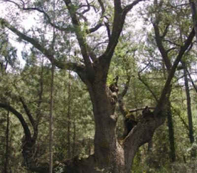 Hiking near Barcelona