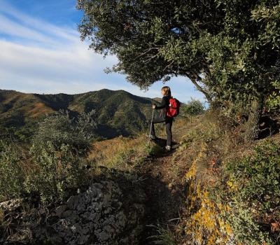 Rutas senderismo