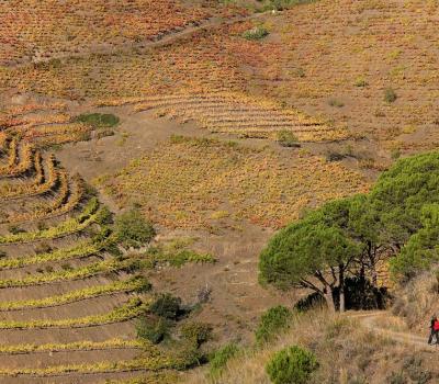 Tourisme rural Barcelone