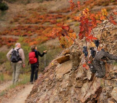 Tourisme rural Barcelone