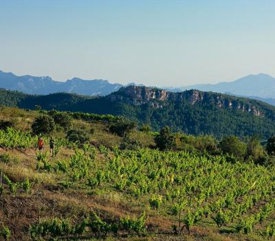 visite et degustation vin Espagne