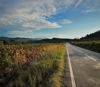 Carretera entre Guiamets i la N-420