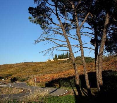 Carretera de Bellmunt al riu Siurana