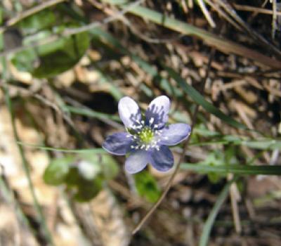 Hiking near Barcelona