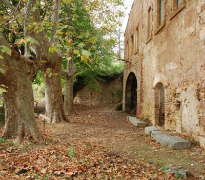 Senderisme Priorat