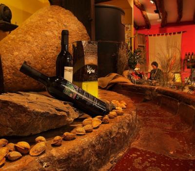 Wine tasting and tours Spain