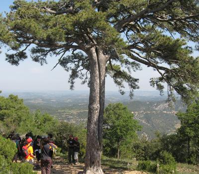 Hiking in Priorat