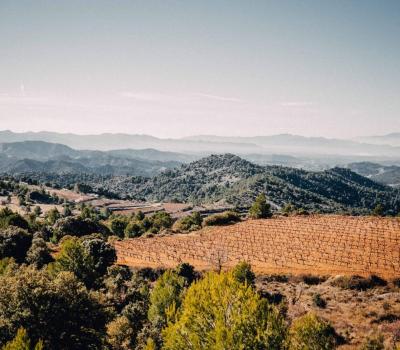 Weintourismus Priorat