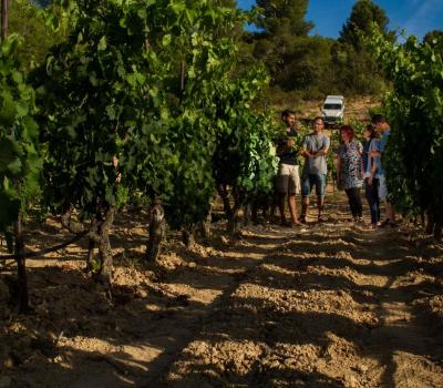 Bodegas Cataluña