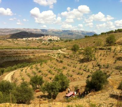 visite et degustation vin Espagne