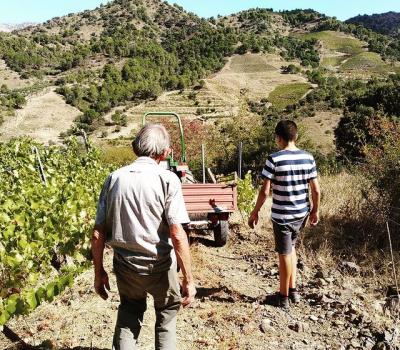 winery visit Priorat