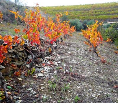 Turisme Rural Catalunya