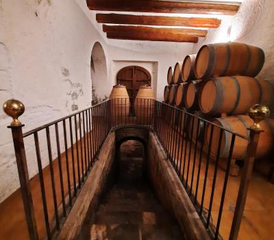 Wine tasting and cellar tours Barcelona