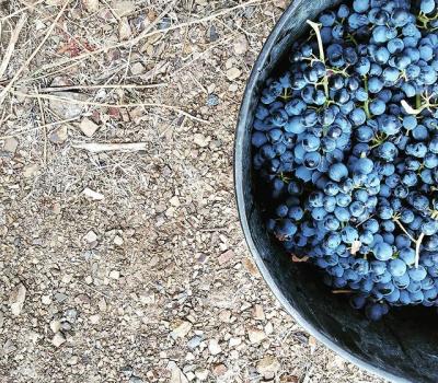 wine tourism Priorat