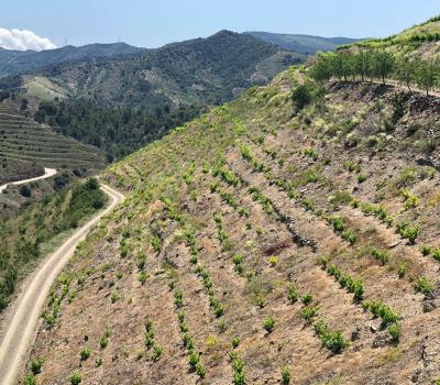 Wine Tourism Priorat